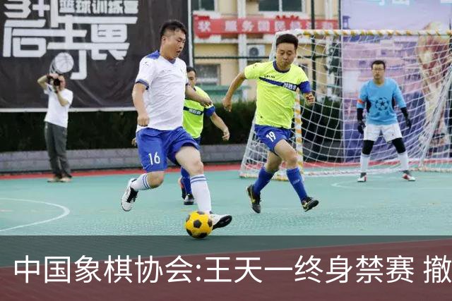 中国象棋协会:王天一终身禁赛 撤销特大等称号